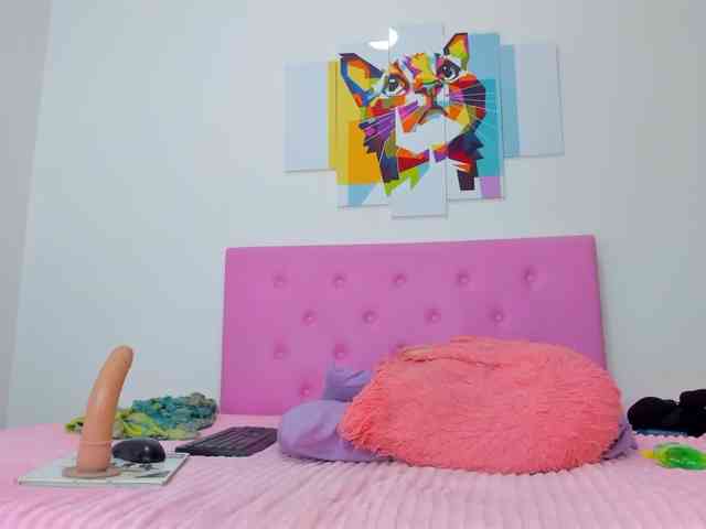 gatica-cat webcam