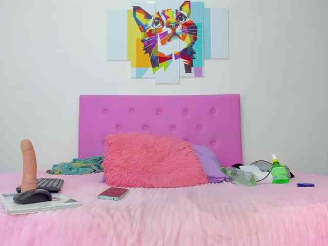 gatica-cat webcam
