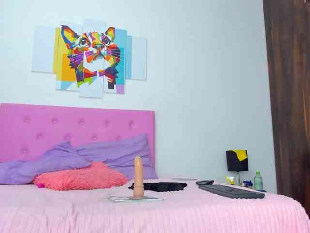 gatica-cat webcam