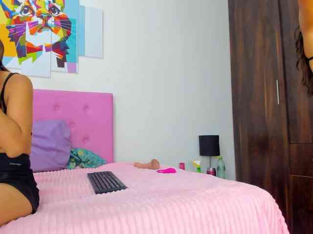 gatica-cat webcam