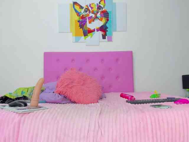 gatica-cat webcam