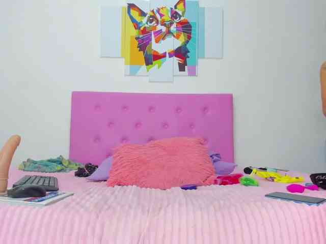 gatica-cat webcam