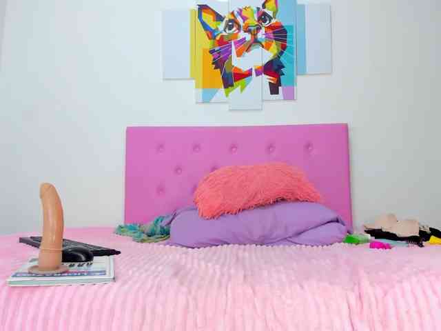 gatica-cat webcam