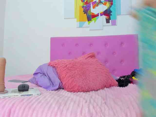 gatica-cat webcam