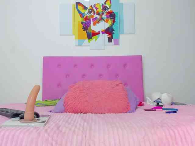 gatica-cat webcam