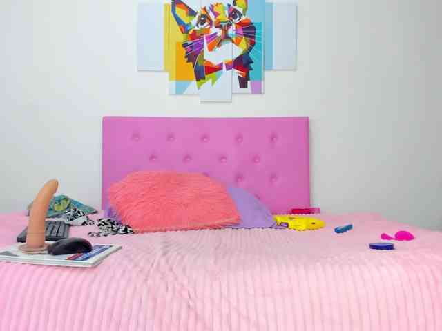 gatica-cat webcam