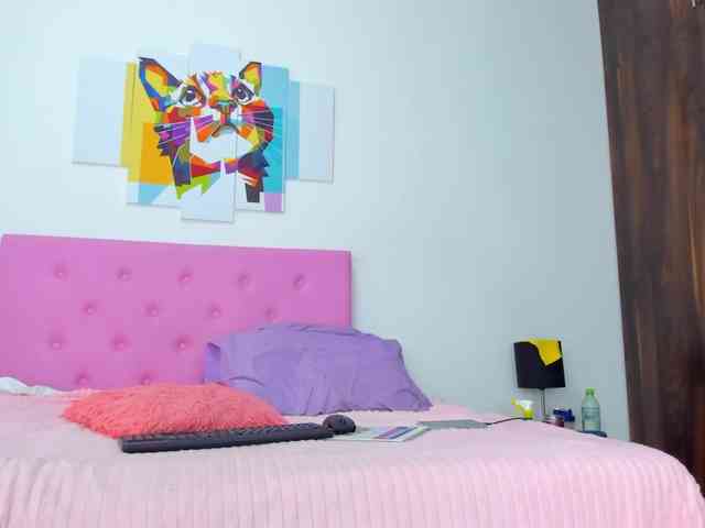 gatica-cat webcam