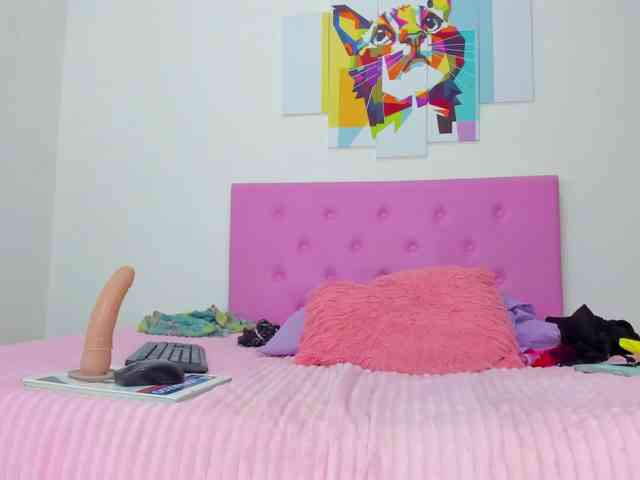 gatica-cat webcam