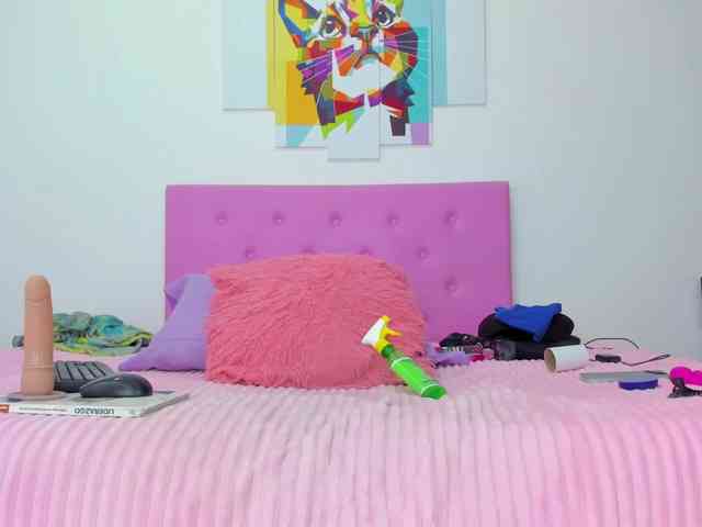 gatica-cat webcam