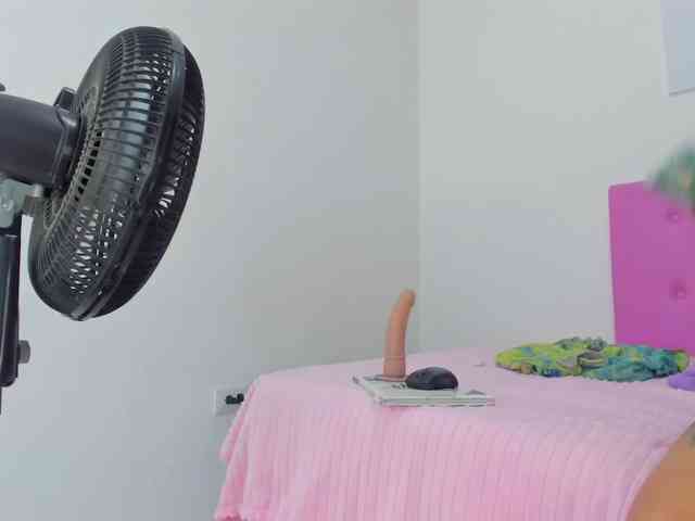 gatica-cat webcam