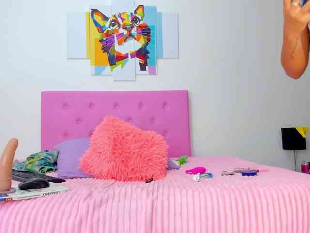 gatica-cat webcam