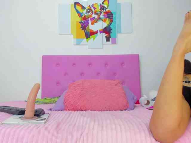 gatica-cat webcam