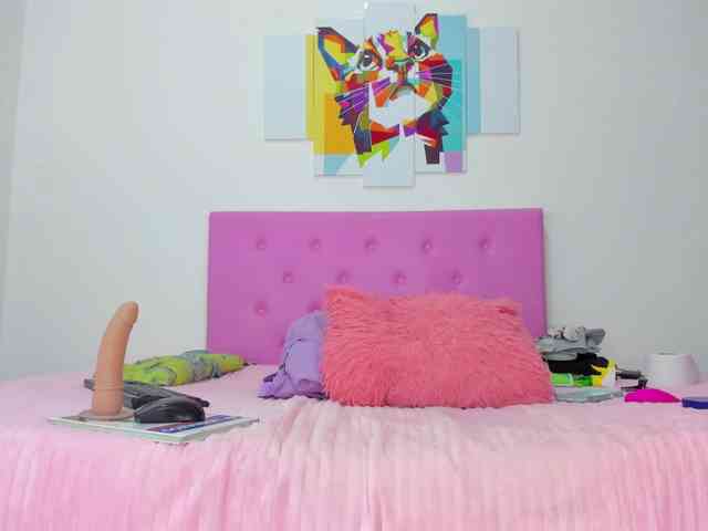 gatica-cat webcam
