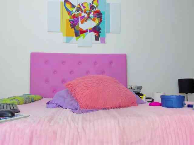 gatica-cat webcam