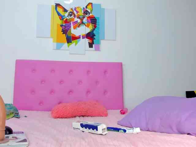 gatica-cat webcam
