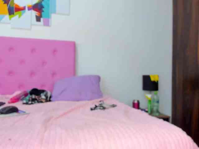 gatica-cat webcam
