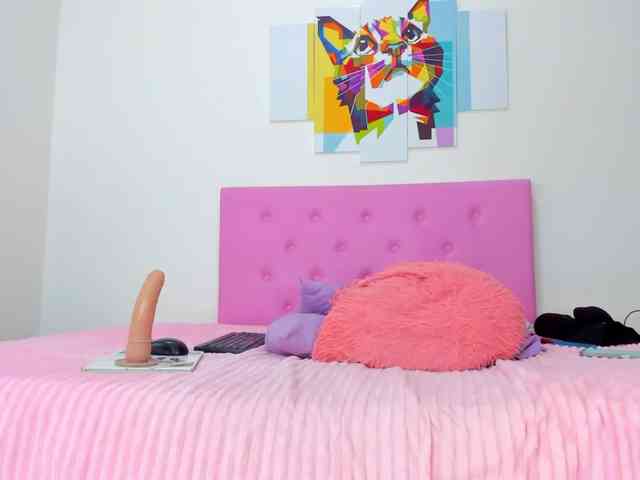 gatica-cat webcam