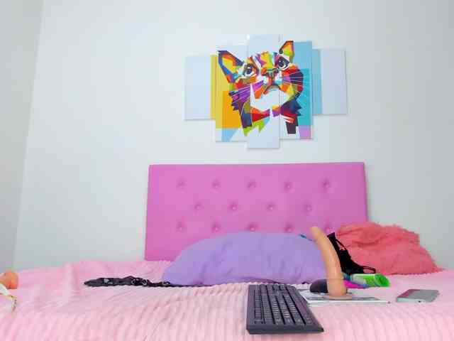 gatica-cat webcam