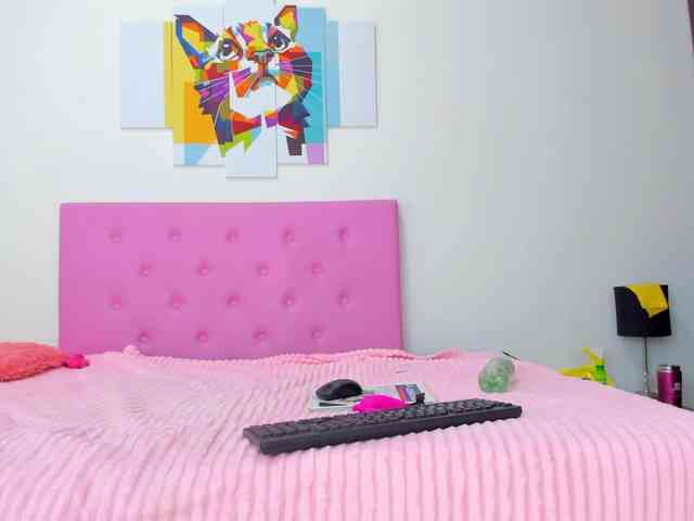 gatica-cat webcam