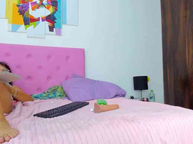 gatica-cat webcam