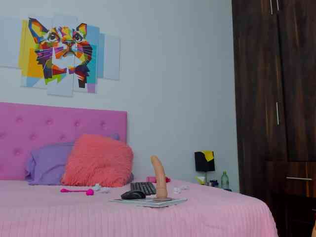gatica-cat webcam