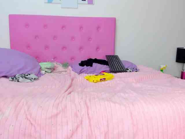 gatica-cat webcam