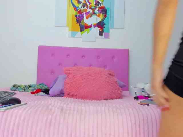 gatica-cat webcam