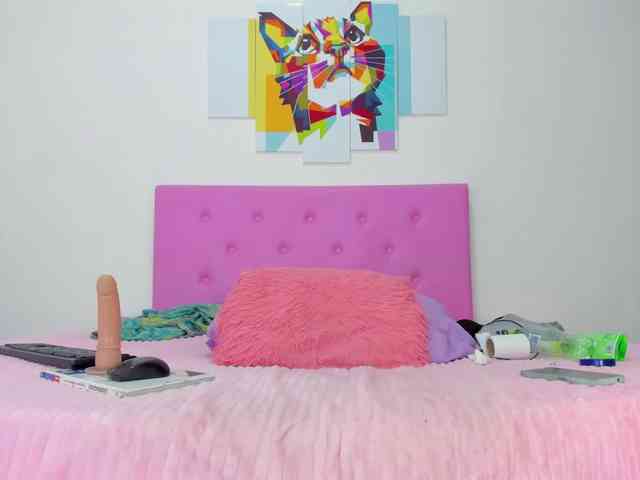 gatica-cat webcam