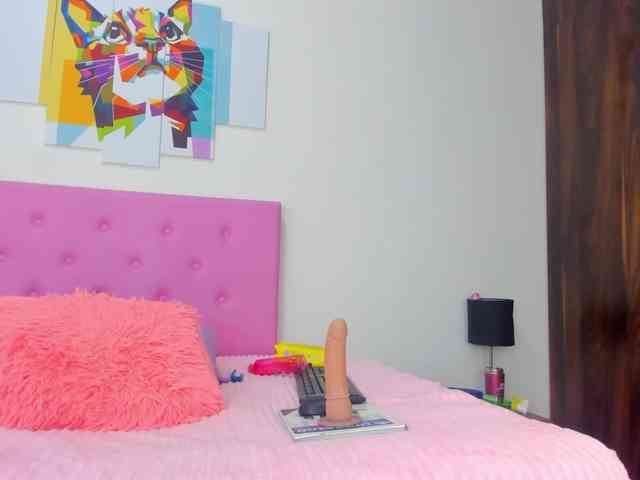 gatica-cat webcam