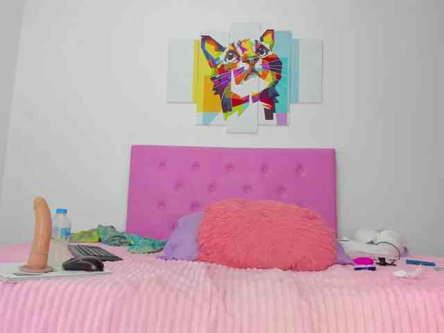 gatica-cat webcam