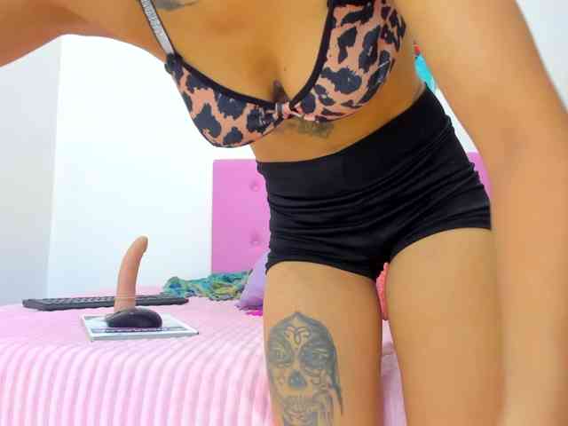gatica-cat webcam