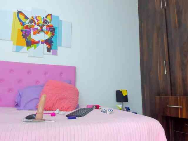 gatica-cat webcam