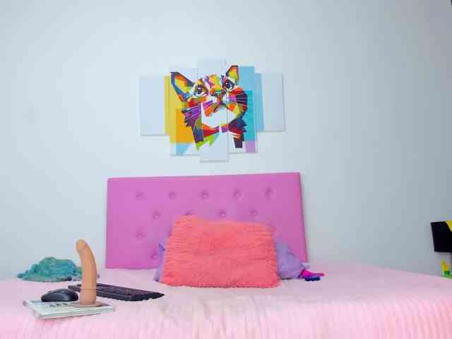 gatica-cat webcam