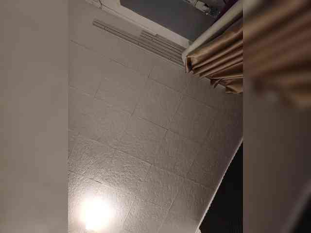 Kakdelaman webcam