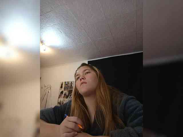 Kakdelaman webcam