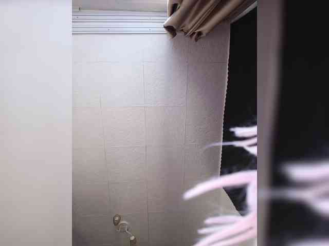 Kakdelaman webcam