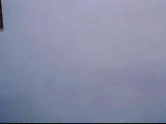 Maxlayla webcam
