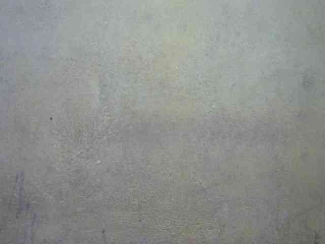 ricaah webcam