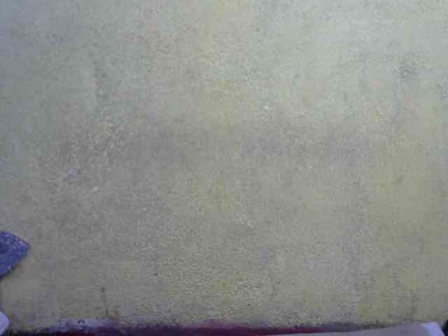 ricaah webcam