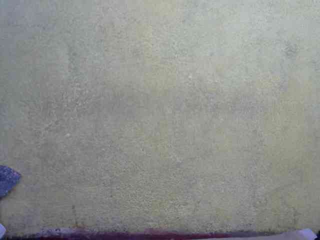 ricaah webcam