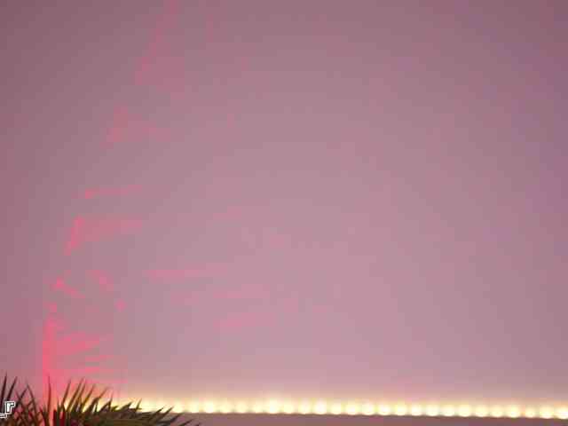 Lexi-Reed webcam