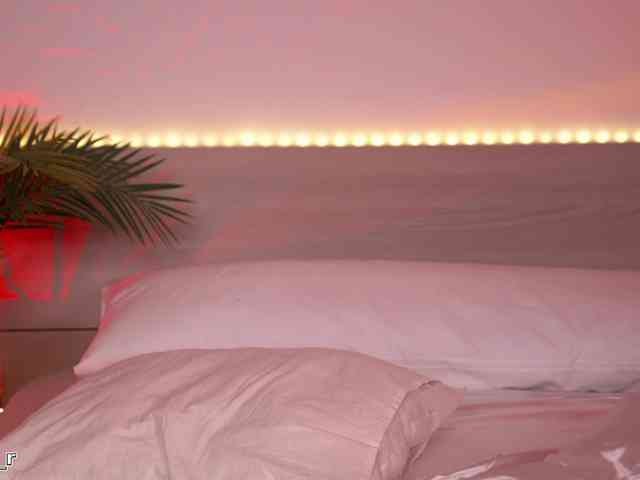 Lexi-Reed webcam