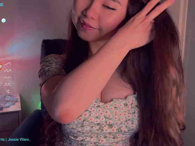 lu-blu webcam