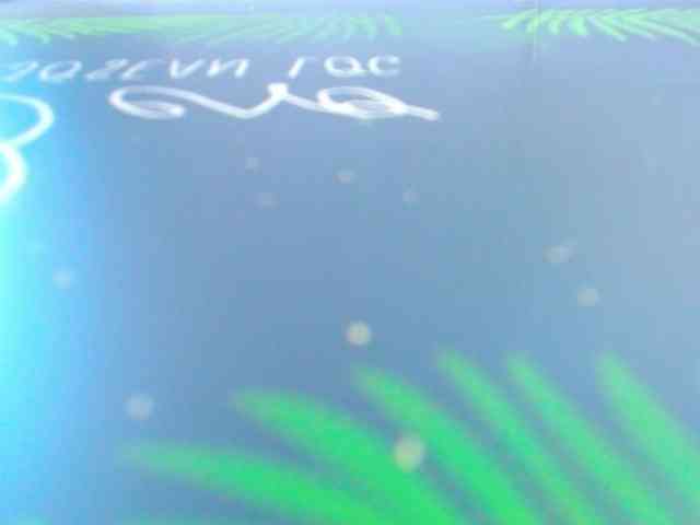 FreyjaNaugthy webcam