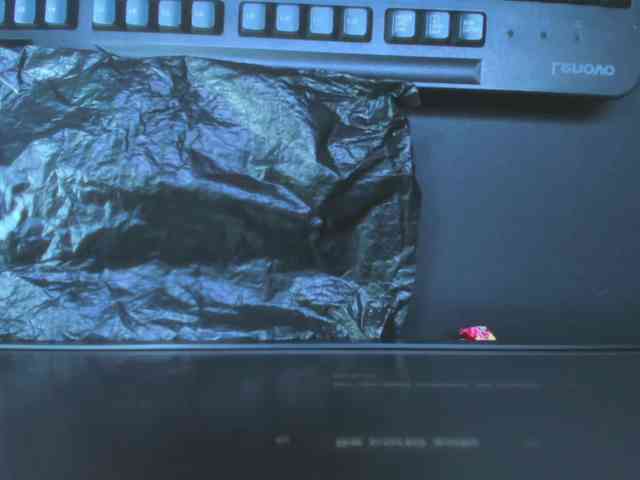 FreyjaNaugthy webcam