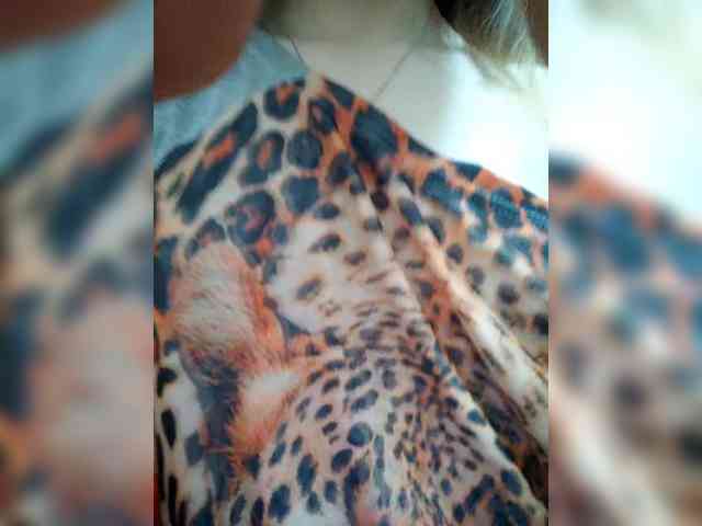 Kissa-Kot webcam