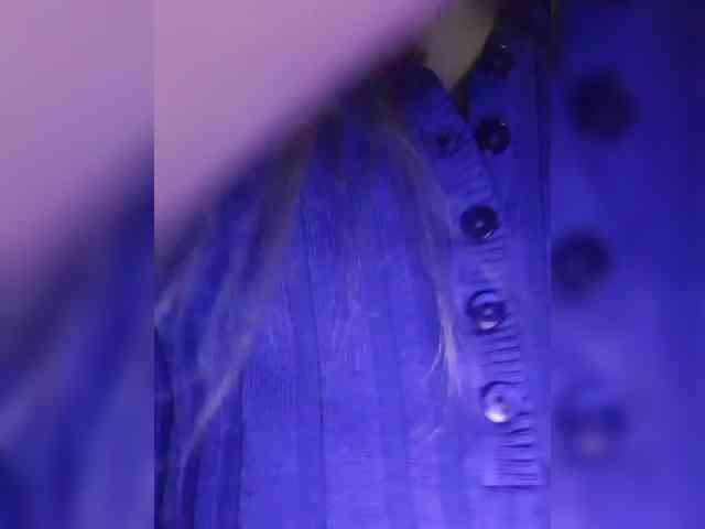 Kissa-Kot webcam