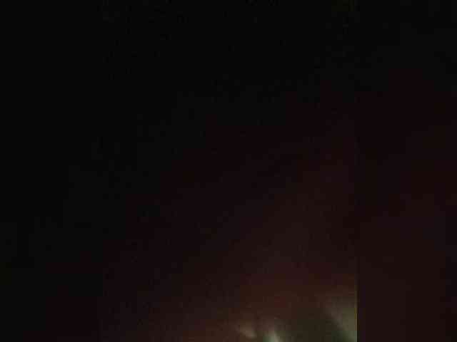 Kissa-Kot webcam