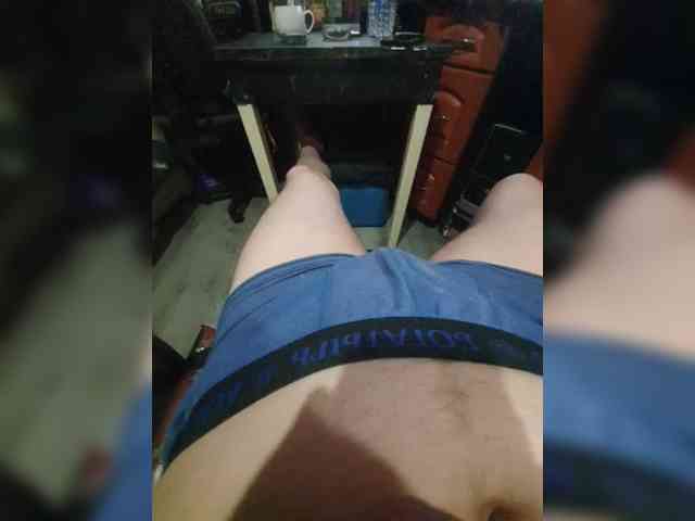 Kissa-Kot webcam