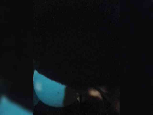 Kissa-Kot webcam